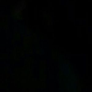 Meet your Posher, Randi