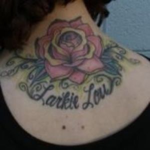 Meet your Posher, Lark