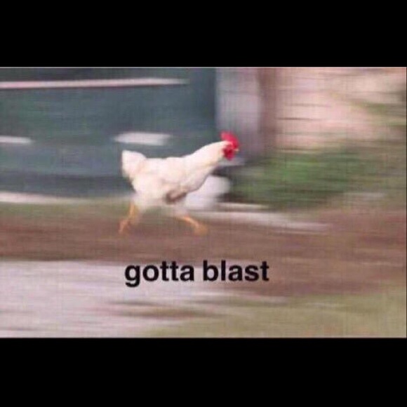 Meet your Posher, Brittney - Picture 1 of 1