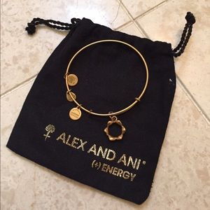 Alex and Ani Queen's Crown Charm Bangle