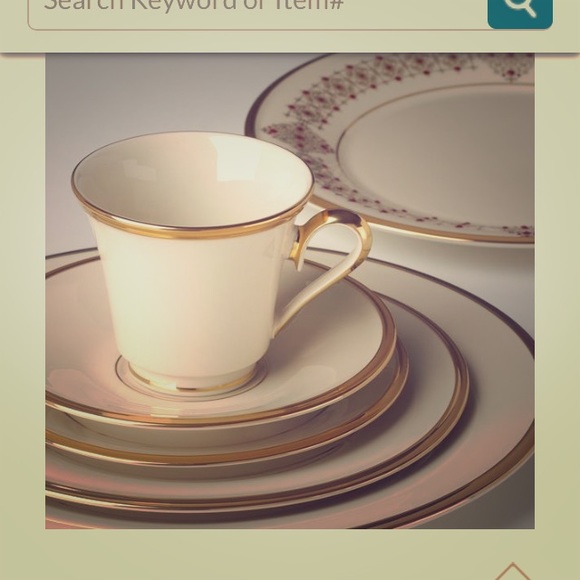 5 piece place setting-24 of them!