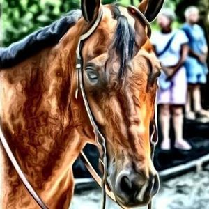 Meet your Posher, Lisa