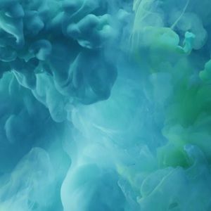 Meet your Posher, Sophia