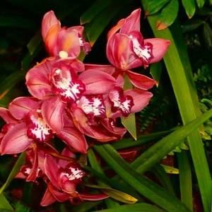 Meet your Posher, Helen