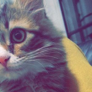 Meet your Posher, Tess