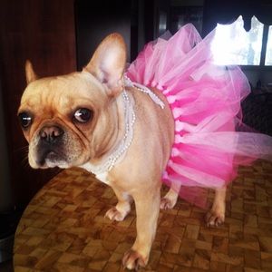 Meet your Posher, Brooke