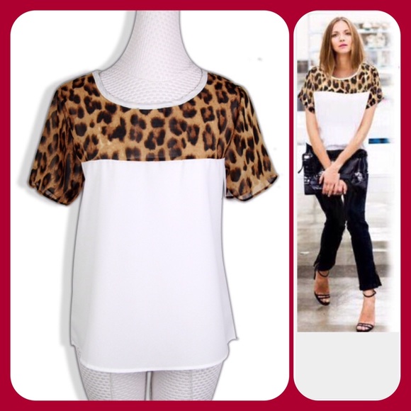 Boutique Tops - HOST PICK Leopard Chiffon Blouse
