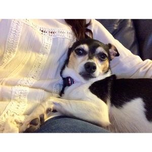 Meet your Posher, Jennifer