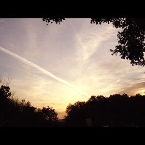 Meet your Posher, Katelyn