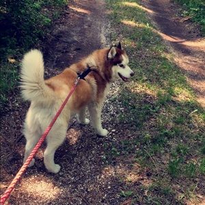 Meet your Posher, Christine