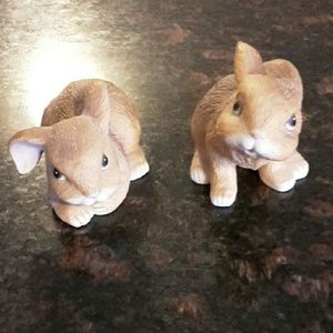 Collector's home interior baby bunnies