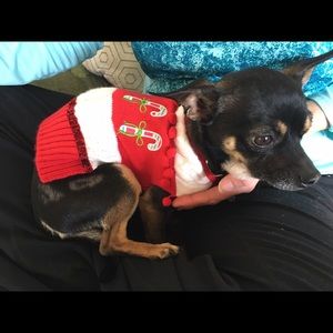 Meet your Posher, Inga