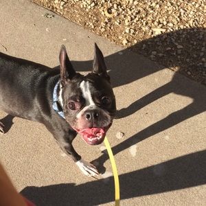 Meet your Posher, Anna