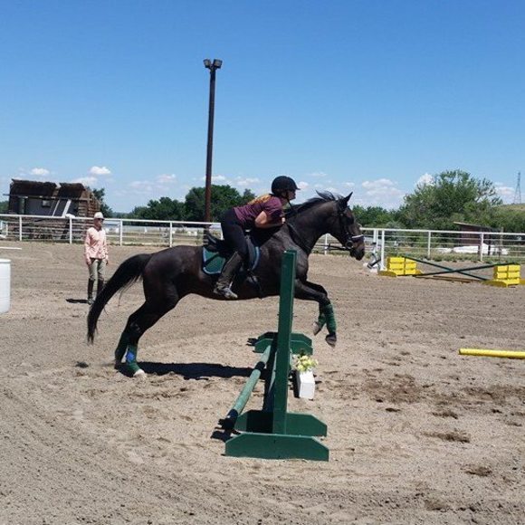 Meet your Posher, Crystal