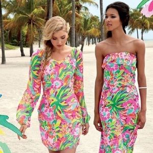 Lilly Pulitzer Carleigh Tunic Dress Lulu 6 EUC