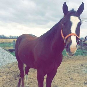 Meet your Posher, Jaci