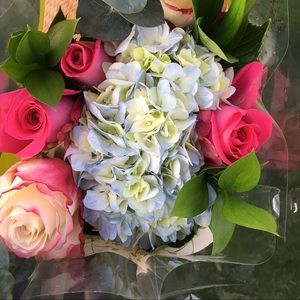 Meet your Posher, Michaela