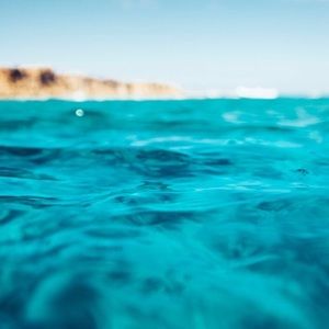 Meet your Posher, Ashleigh