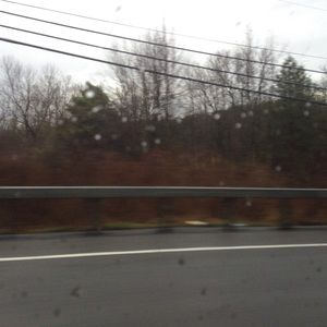 Meet your Posher, Sophia