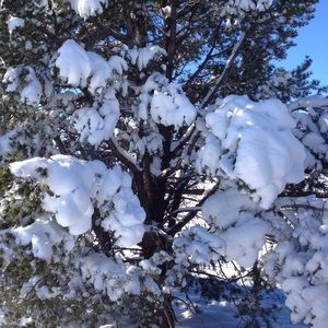 Meet your Posher, Addison