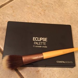 Coastal Scents eclipse palette and Ecotools brush