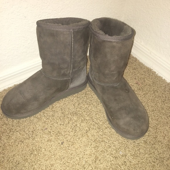 Classic short gray Uggs