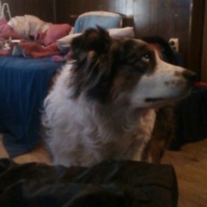 Meet your Posher, Tyria