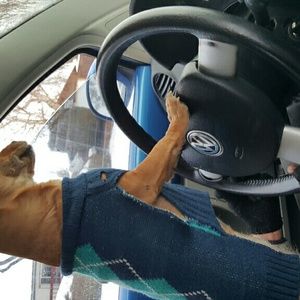 Meet your Posher, Jamie