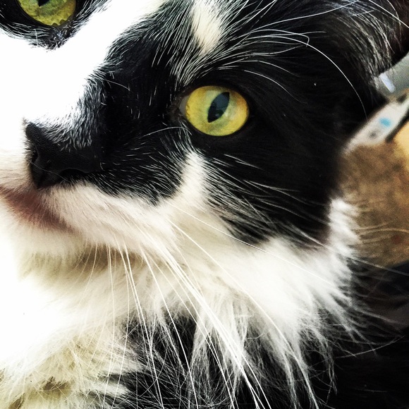 Meet your Posher, Justine - Picture 2 of 4