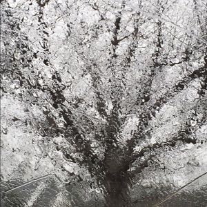 Meet your Posher, Fatima