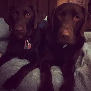 Meet your Posher, Renee