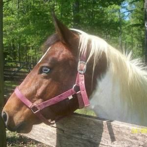 Meet your Posher, Eva