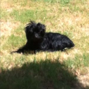 Meet your Posher, Mia