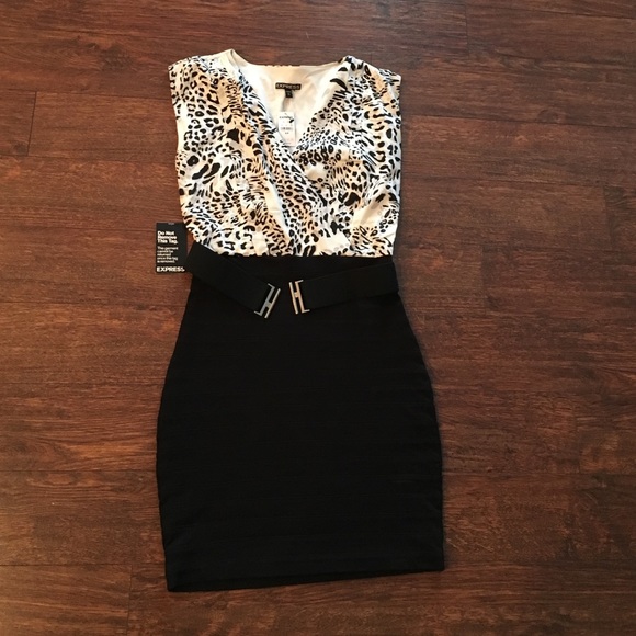 Express knee length dress
