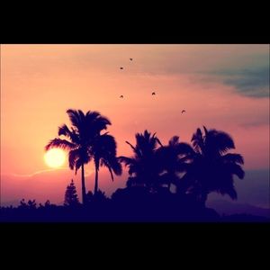 Meet your Posher, Kyla