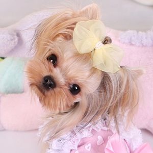 Meet your Posher, Veronica