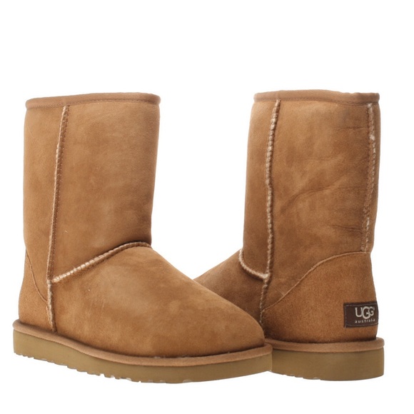 Classic short womens uggs