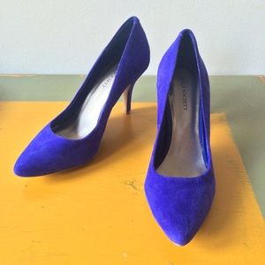 💙 Blue Suede Pumps! 💙