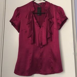 Express- plum stretch Silk blouse