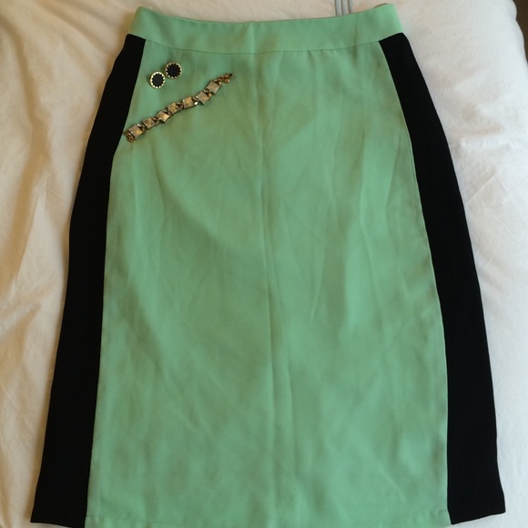 Rhyme And Echo Dresses & Skirts - Rhyme and Echo seafoam green and black skirt