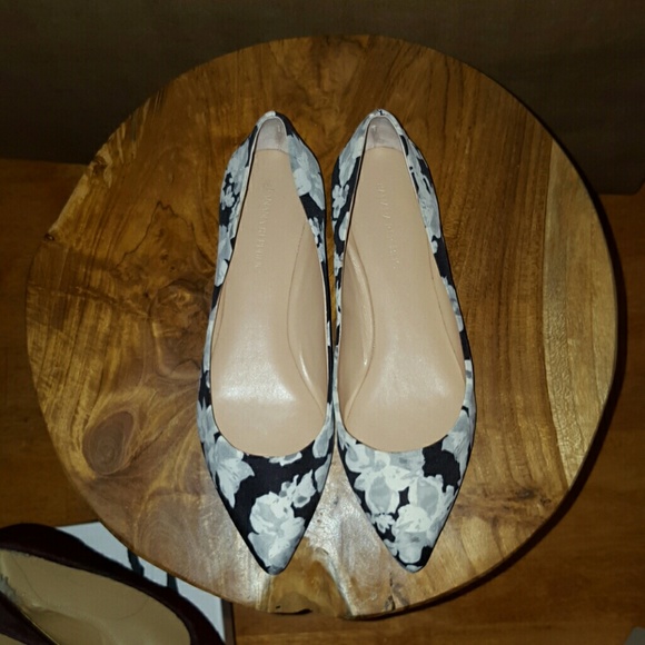 Banana Republic Pointed Toe Ballet Flats