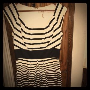 Cap sleeve Max and Cleo dress Sz-6