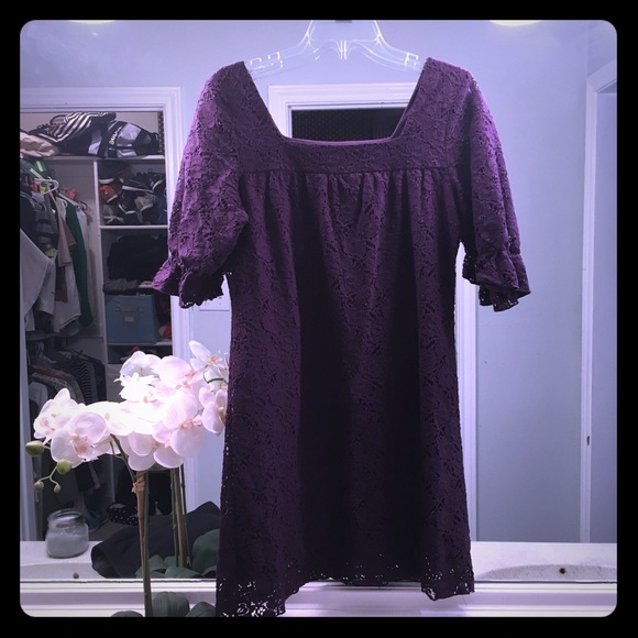 Velvet Torch purple lace dress Sz-M