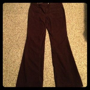 Modern flare plum corduroy pants from Loft
