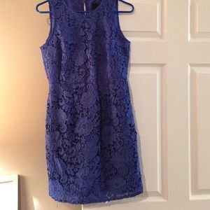 BRAND NEW royal blue lace Jcrew dress.