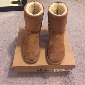 Classic Short Chestnut UGGS