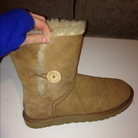 Chestnut short uggs
