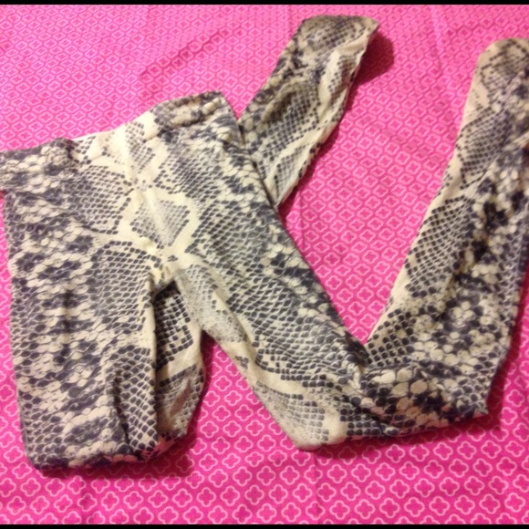 Snakeskin Tights