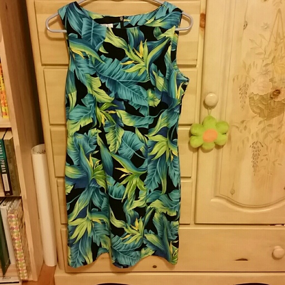 Dress Barn Size10 Floral Dress