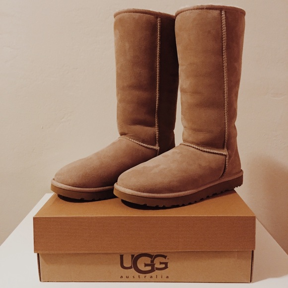 ugg tall mushroom ugg tall mushroom